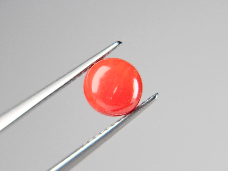 SNG-2　珊瑚　1.64ct