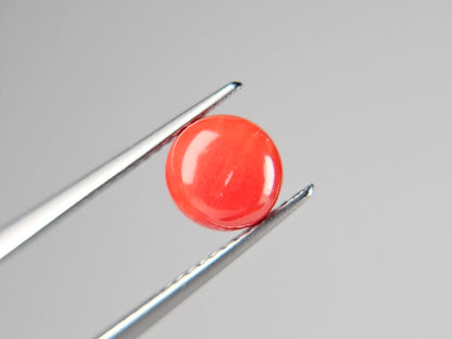 SNG-2　珊瑚　1.64ct