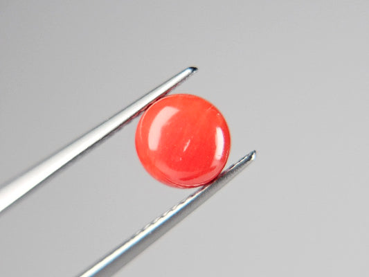 SNG-2　珊瑚　1.64ct