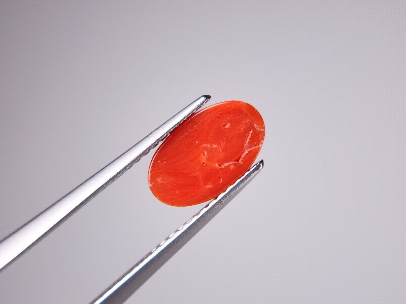 SNG-12　珊瑚　1.46ct