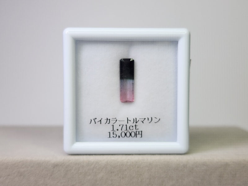 【東洋ルース⭐サマーバッグ(夏福袋)】1万円福袋/総額約2万円相当のルース！⑤