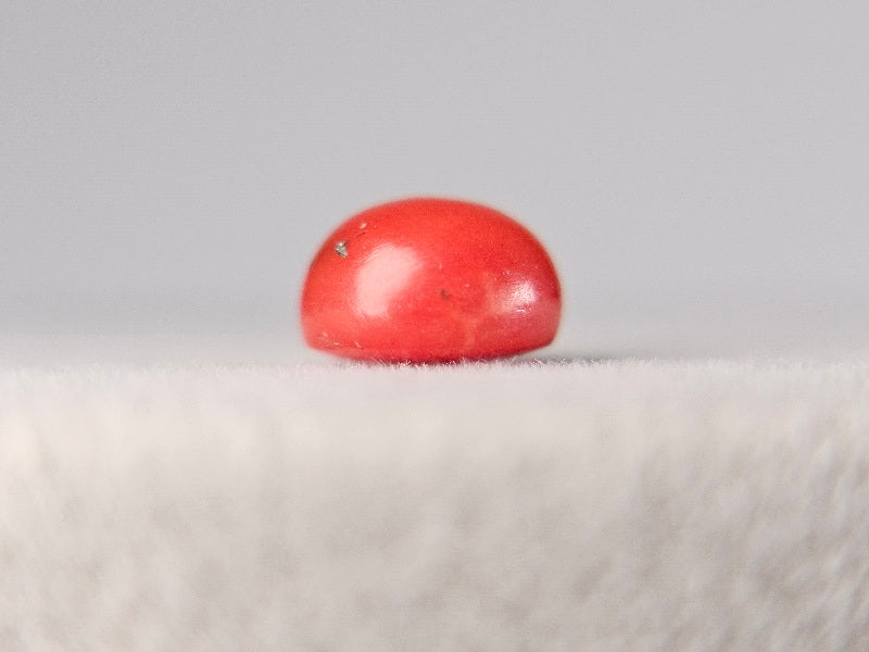 SNG-1　珊瑚　1.77ct