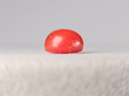 SNG-1　珊瑚　1.77ct