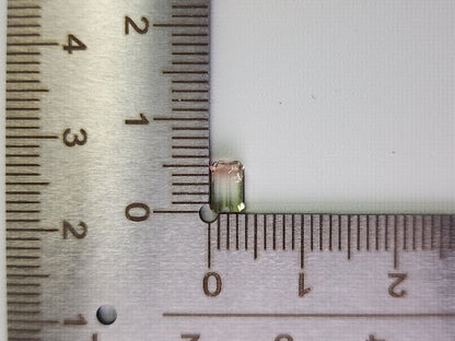 bc-TRM-5　バイカラートルマリン　0.54ct