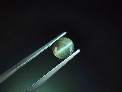 0012-5　スキャポライトキャッツアイ　1.45ct