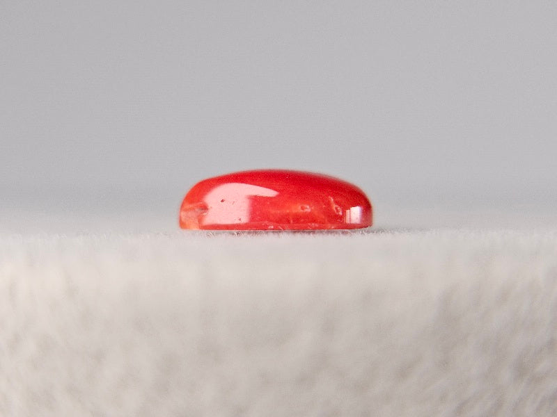 SNG-4　珊瑚　0.77ct