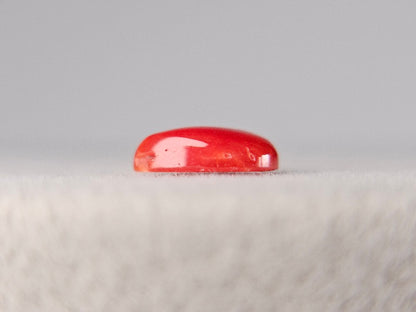 SNG-4　珊瑚　0.77ct