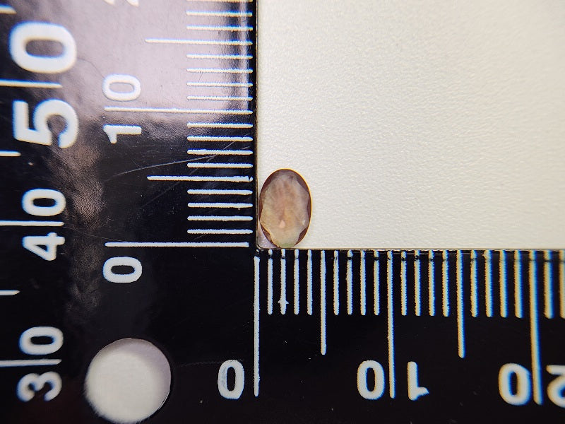 0152-2-10　バイカラーアンデシン　0.45ct