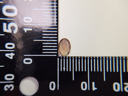 0152-2-10　バイカラーアンデシン　0.45ct