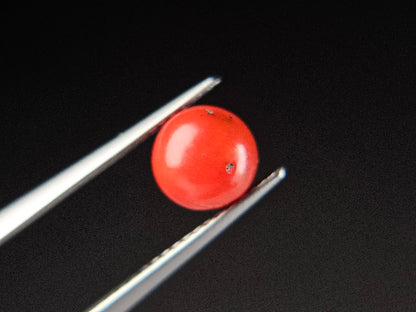 SNG-1　珊瑚　1.77ct