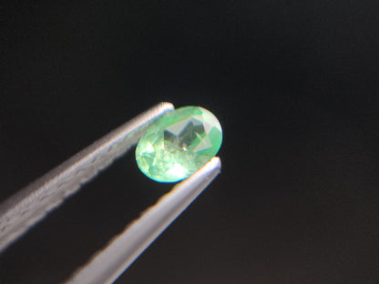0003-5　コーネルピン　約0.21ct
