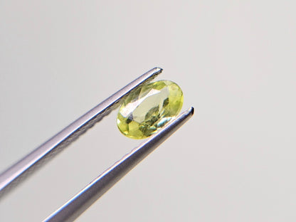 PCRS-7　パロットクリソベリル　0.45ct