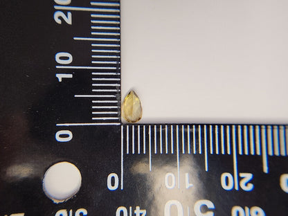 0644-17-1　ゾイサイト　0.38ct