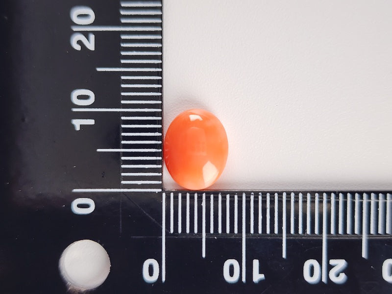 0938-30　珊瑚　2.60ct