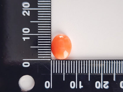 0938-30　珊瑚　2.60ct