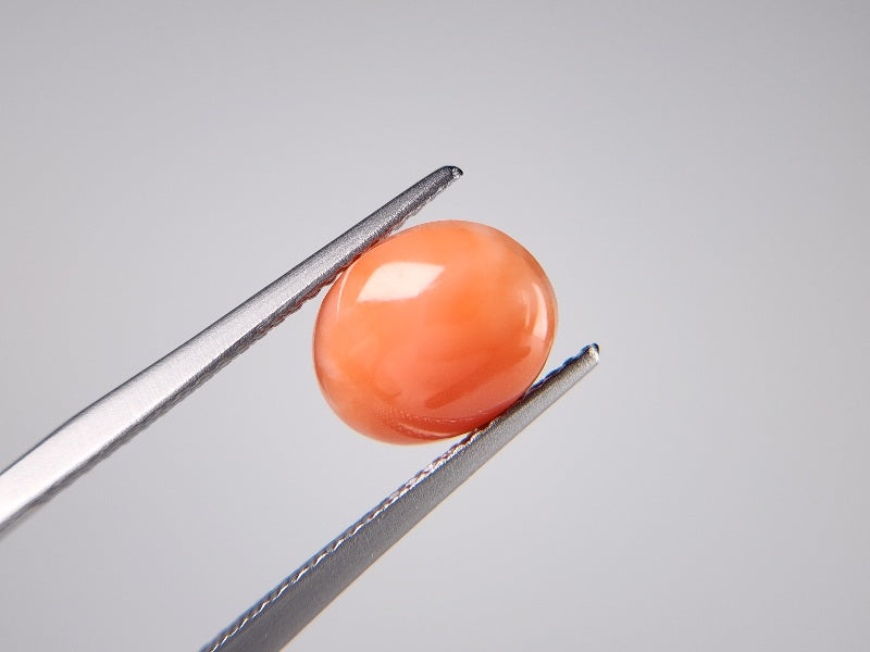 0938-30　珊瑚　2.60ct