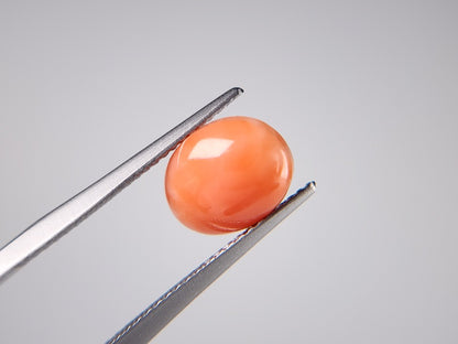 0938-30　珊瑚　2.60ct