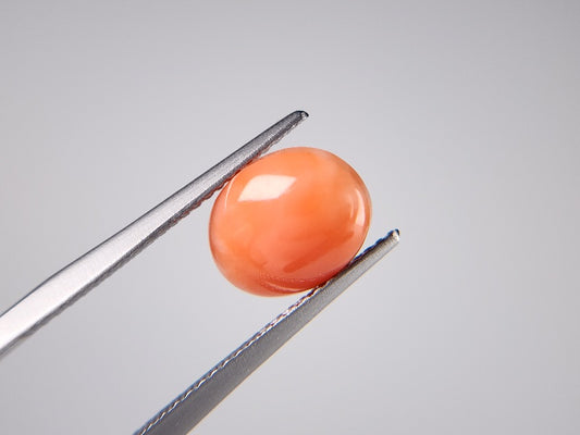 0938-30　珊瑚　2.60ct