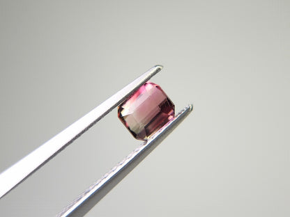0879-55　トルマリン  0.59ct　