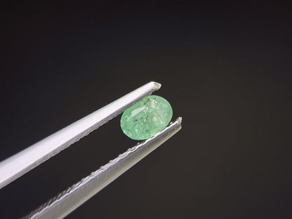 0003-21　コーネルピン　0.21ct