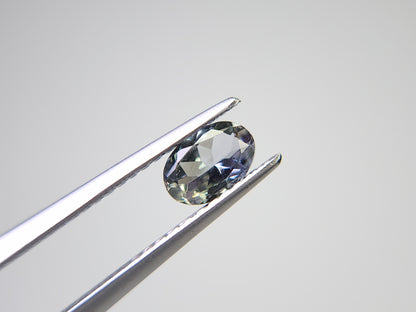 0655-12-5　ゾイサイト　0.45ct
