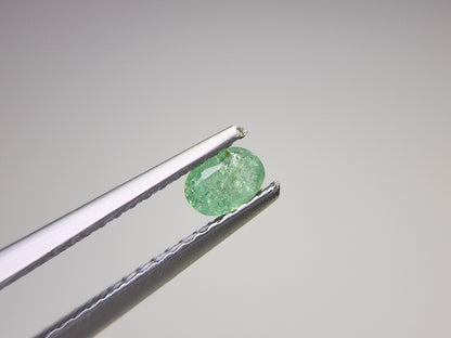0003-21　コーネルピン　0.21ct