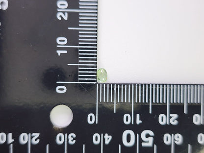 0003-24　コーネルピン　0.20ct