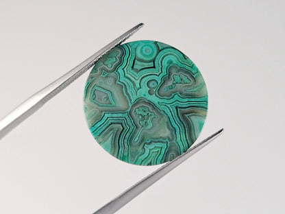 OJSP-1　オーシャンジャスパー　15.37ct