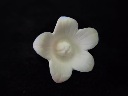 0933-3　コンクシェル　14.26ct