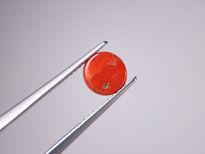 SNG-15　珊瑚　1.34ct