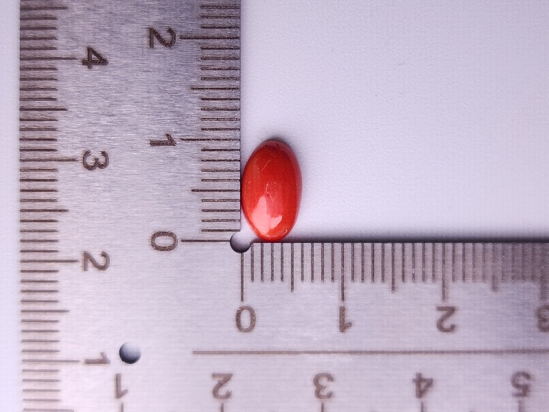 SNG-12　珊瑚　1.46ct