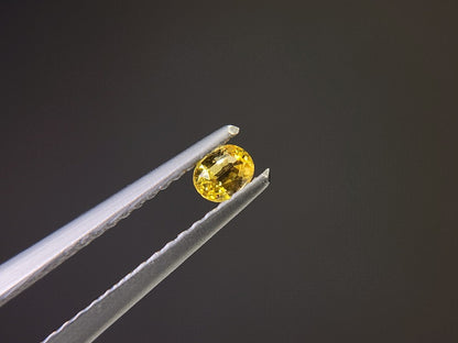 【500円均一】11/17正午まで　イエローサファイア　0.15ct　3