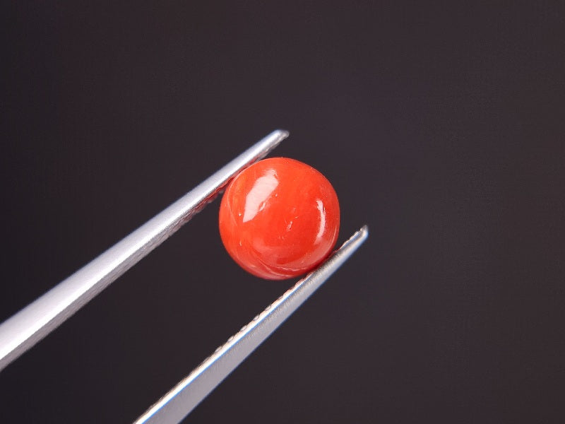 SNG-14　珊瑚　1.38ct