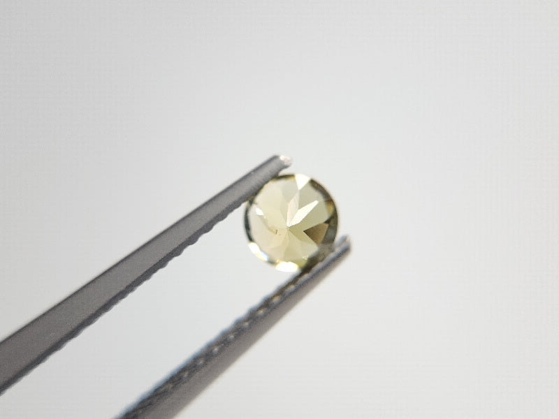 0657-19-2　ゾイサイト　0.49ct