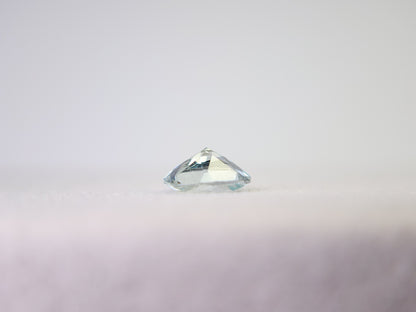 0878-4-10　グリーンベリル　0.59ct