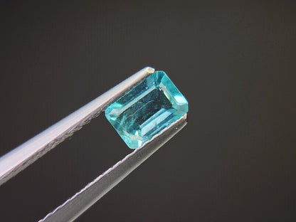 0462-1　アパタイト　0.67ct