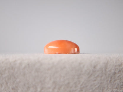 0938-30　珊瑚　2.60ct