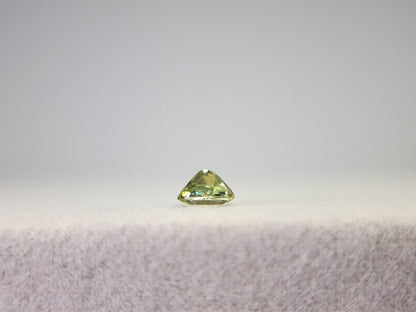 0873-5-1　デマントイドガーネット　0.21ct