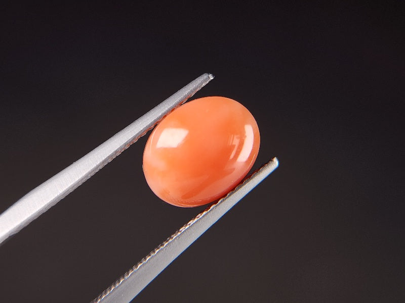 0938-30　珊瑚　2.60ct