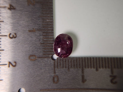 pu-SSA-25　パープルスターサファイア　3.68ct