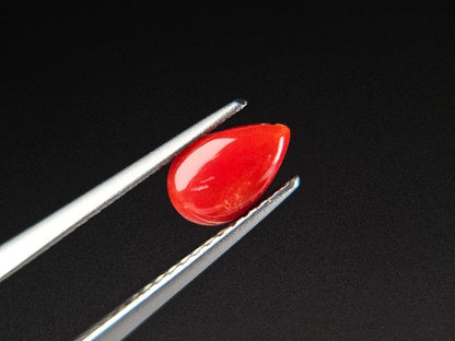 SNG-4　珊瑚　0.77ct