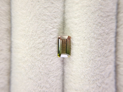 bc-TRM-4　バイカラートルマリン　0.66ct