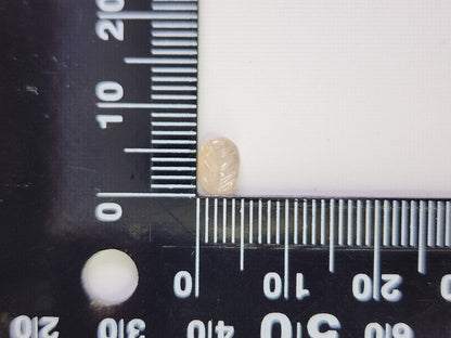 【500円均一】11/24正午まで　サファイア（リーフ）　0.86ct　7