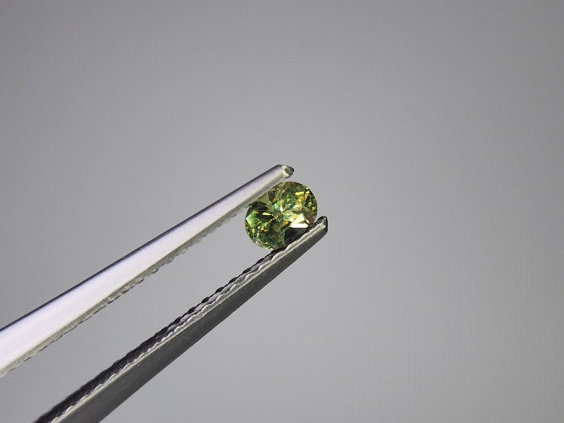 0873-5-1　デマントイドガーネット　0.21ct