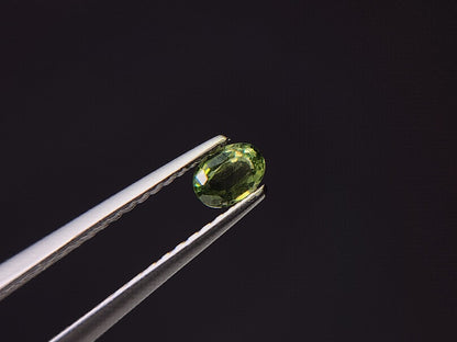 0003-11　コーネルピン　0.25ct