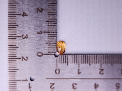 SPGA-6　スぺサルティンガーネット　0.55ct