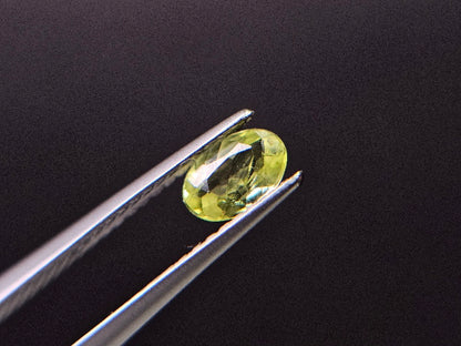 PCRS-7　パロットクリソベリル　0.45ct