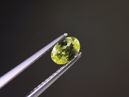 0928-4　パロットクリソベリル　0.45ct