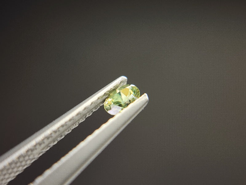 0873-5-1　デマントイドガーネット　0.21ct