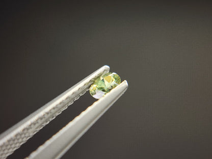 0873-5-1　デマントイドガーネット　0.21ct